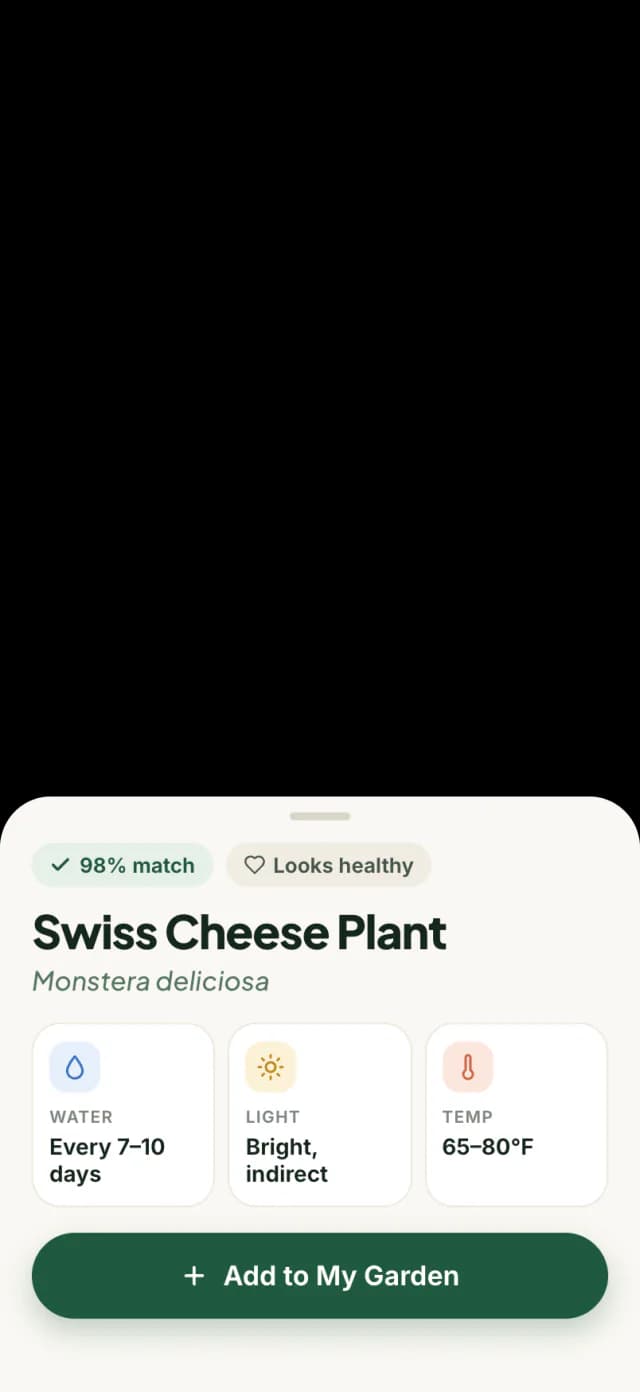 Fylora's camera recognising a Swiss cheese plant, with watering, light and temperature tips