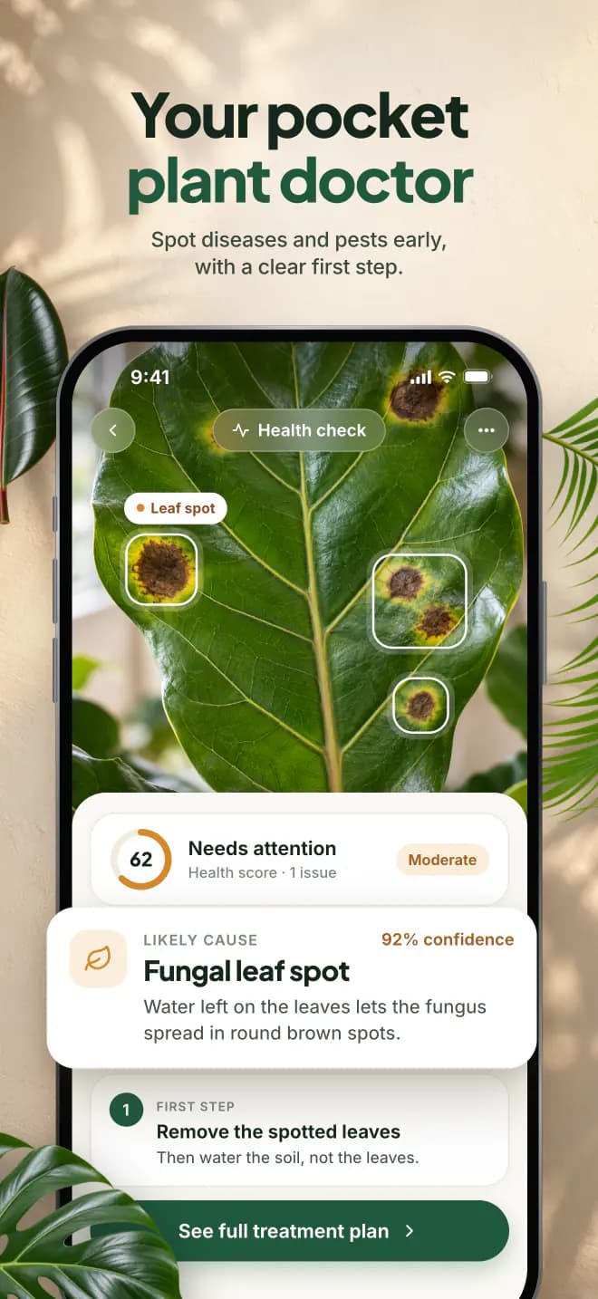 Your pocket plant doctor. Spot diseases and pests early, with a clear first step.