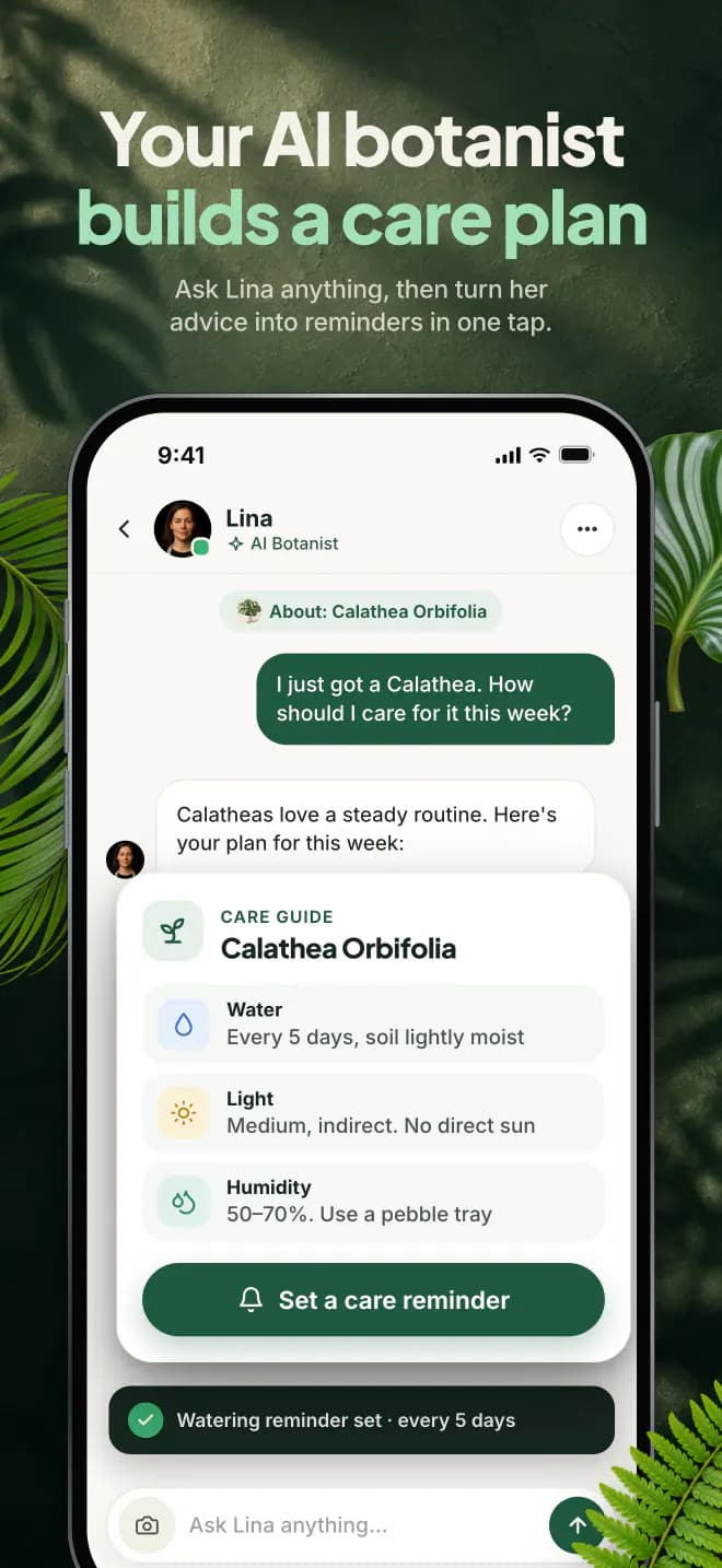 Your AI botanist builds a care plan. Ask Lina anything, then turn her advice into reminders in one tap.