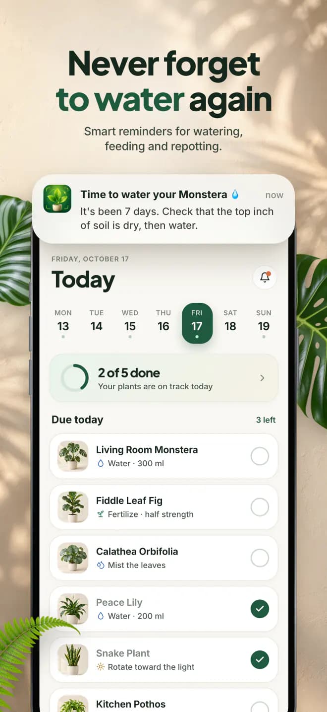 Never forget to water again. Smart reminders for watering, feeding and repotting.