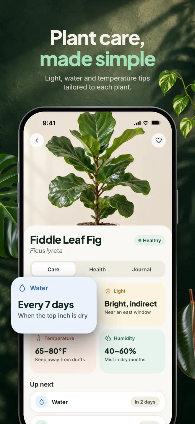 Plant care, made simple. Light, water and temperature tips tailored to each plant.