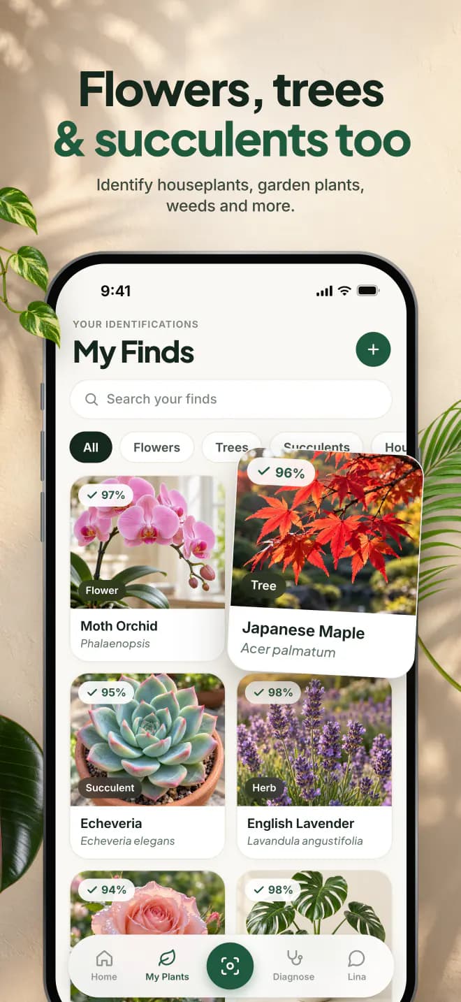 Flowers, trees and succulents too. Identify houseplants, garden plants, weeds and more.