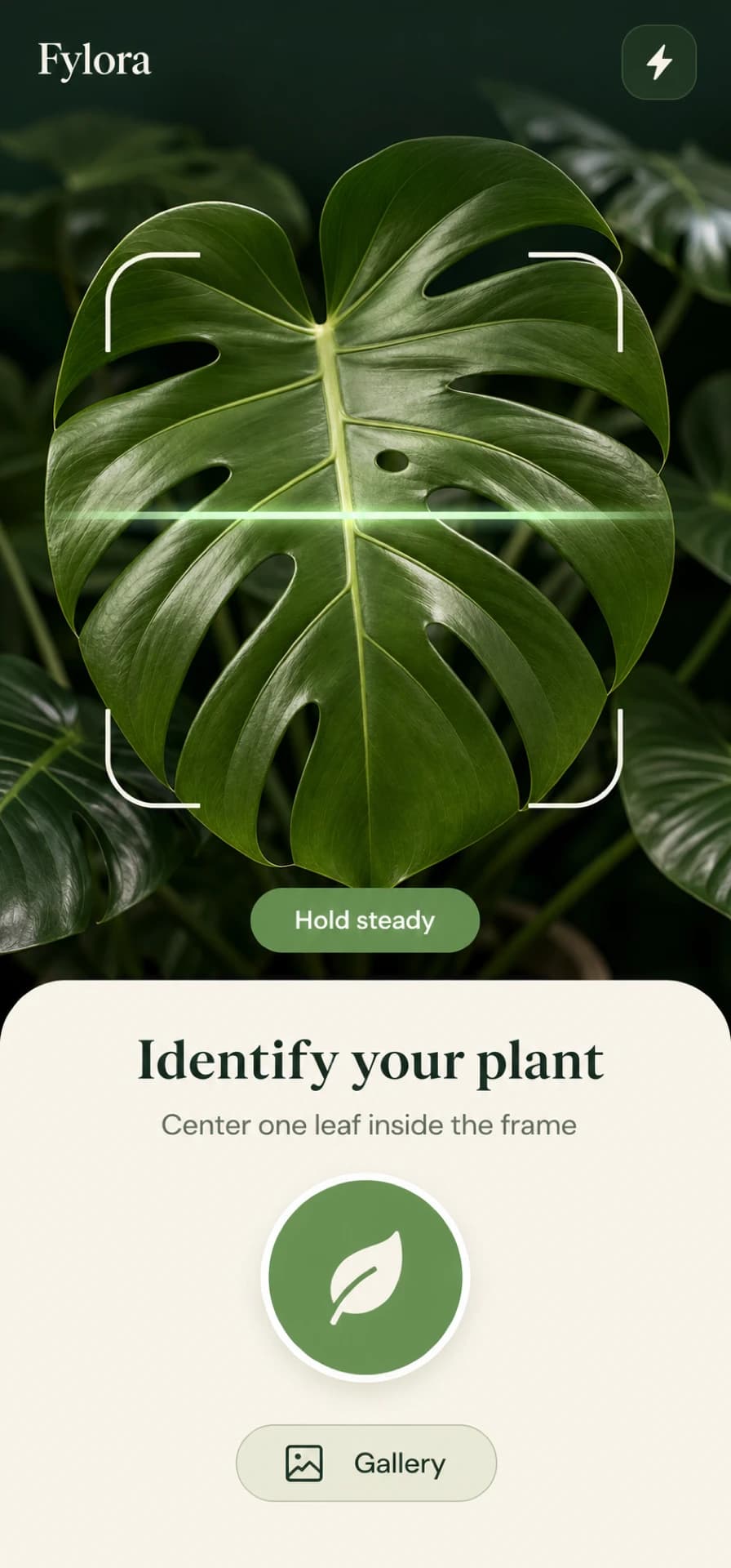 لقطة شاشة لتطبيق Fylora