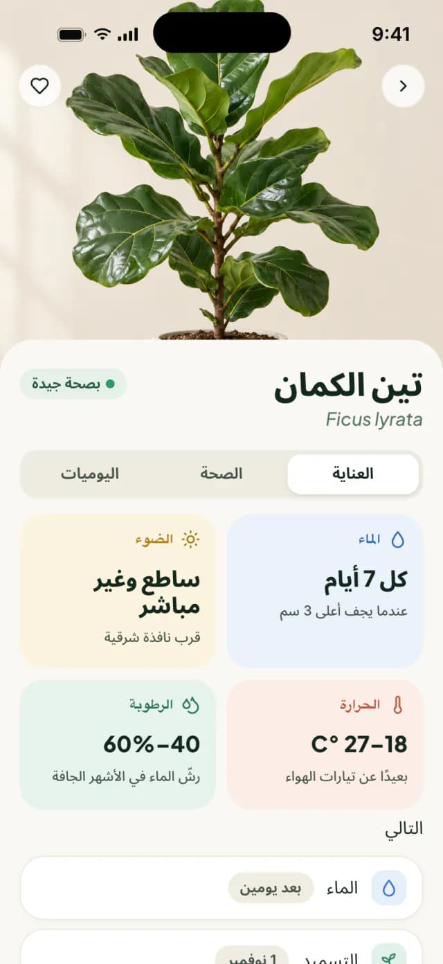 صفحة العناية بنبتة التين المزماري مع نصائح حول الري والضوء والحرارة والرطوبة